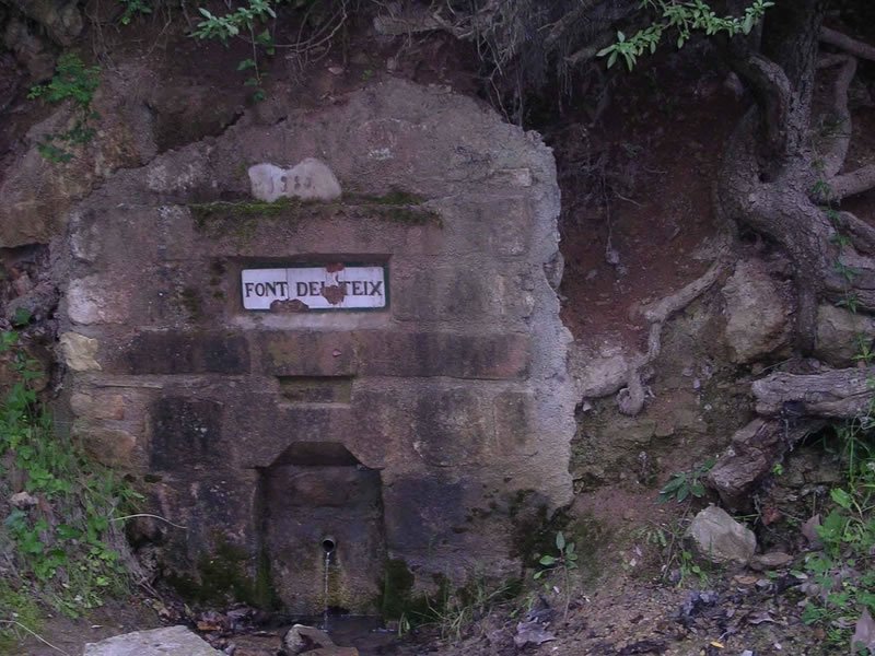 DSCN1762 [800x600]_JPG